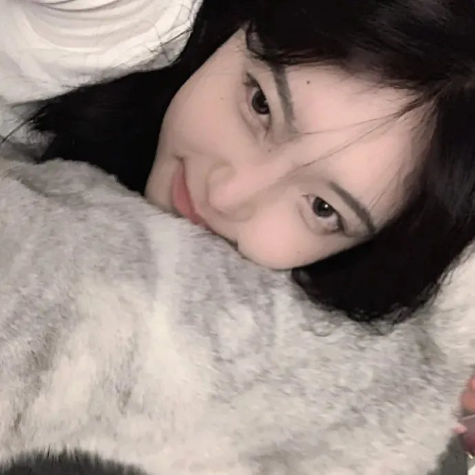 木屋电影 在线观看